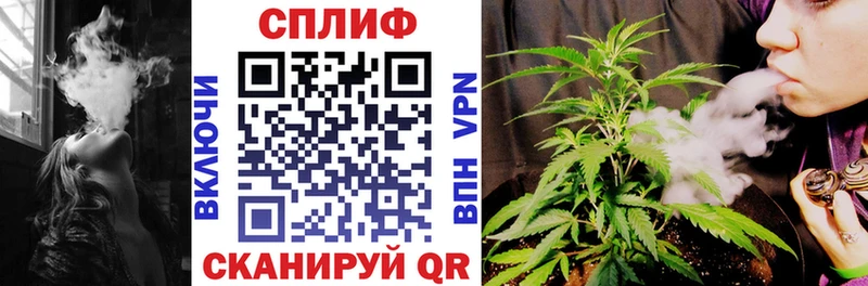 Галлюциногенные грибы Брянск