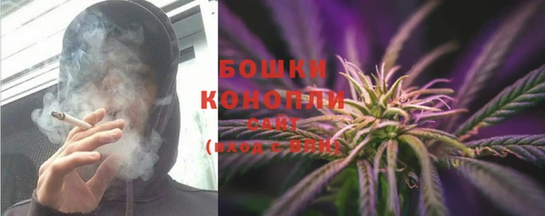 индика Бронницы